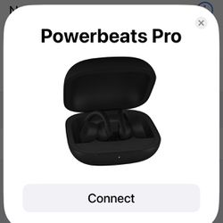 Powerbeats Pro (1)