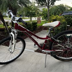 Mountain Bicycle