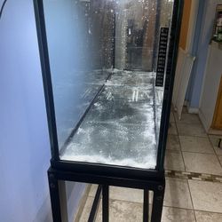 50 Gallon Fishtank With Turtle Top And Accessories 