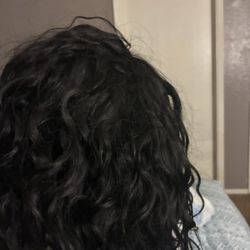 Human Hair 14 Inch Curly Wig 