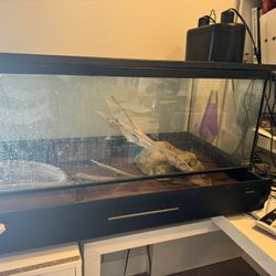 Reptile Terrarium 40 Gallons