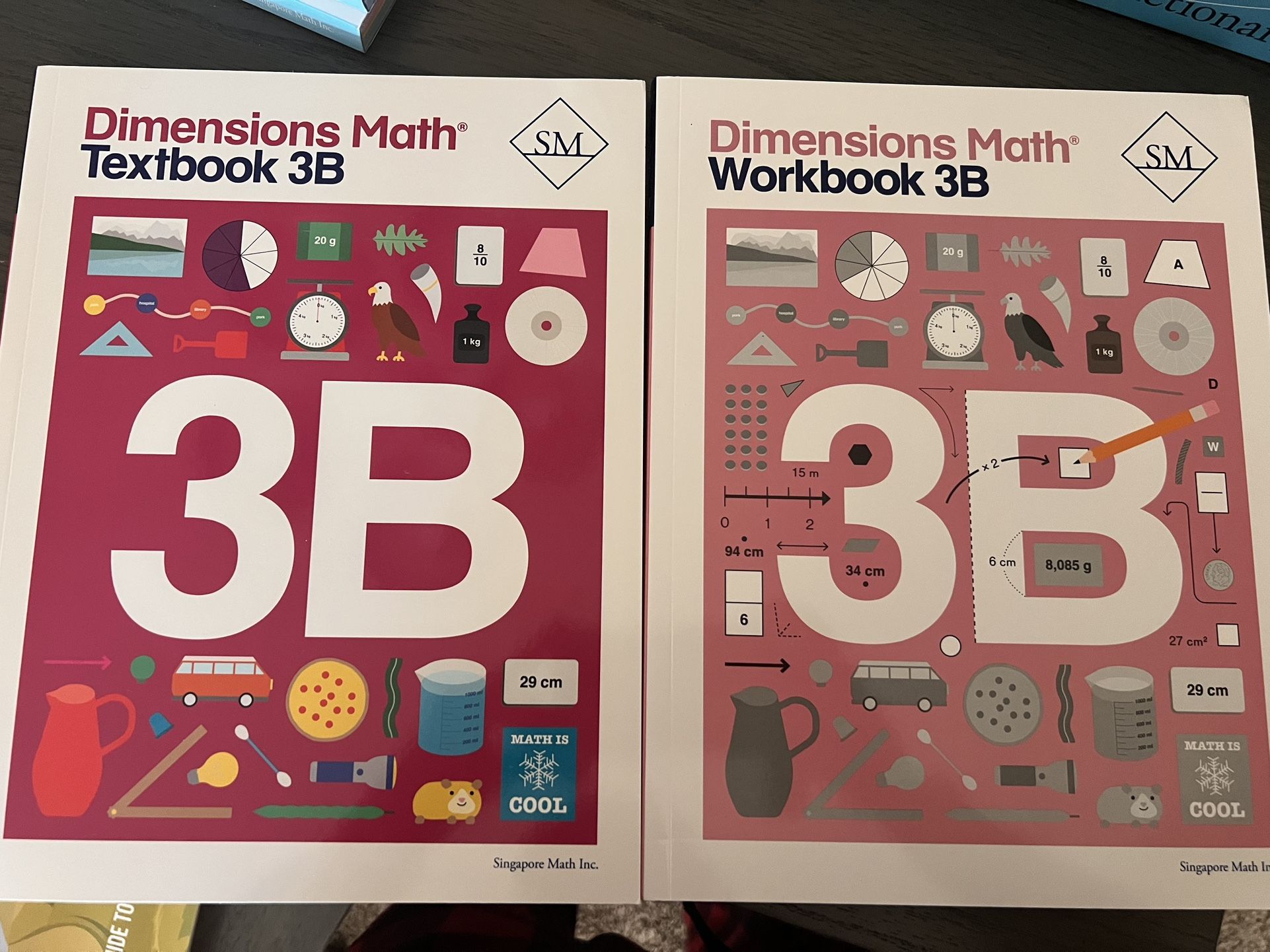 Singapore dimensions, math grade 4B