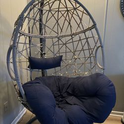 Egg Chair With Cushion