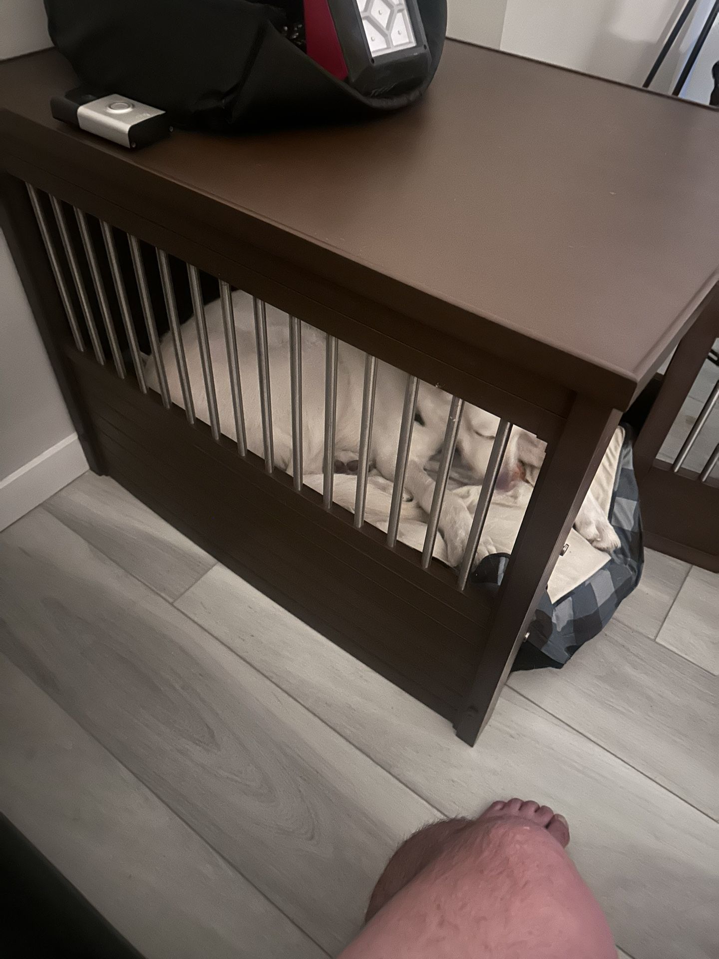 dog crate