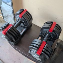2 Adjustable Dumbbells Up To 52lbs