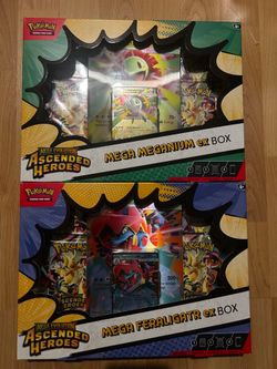 Pokemon - Mega Feraligatr / Meganium EX box