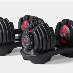 Bow Flex SelectTech 522 Adjustable Dumbells 