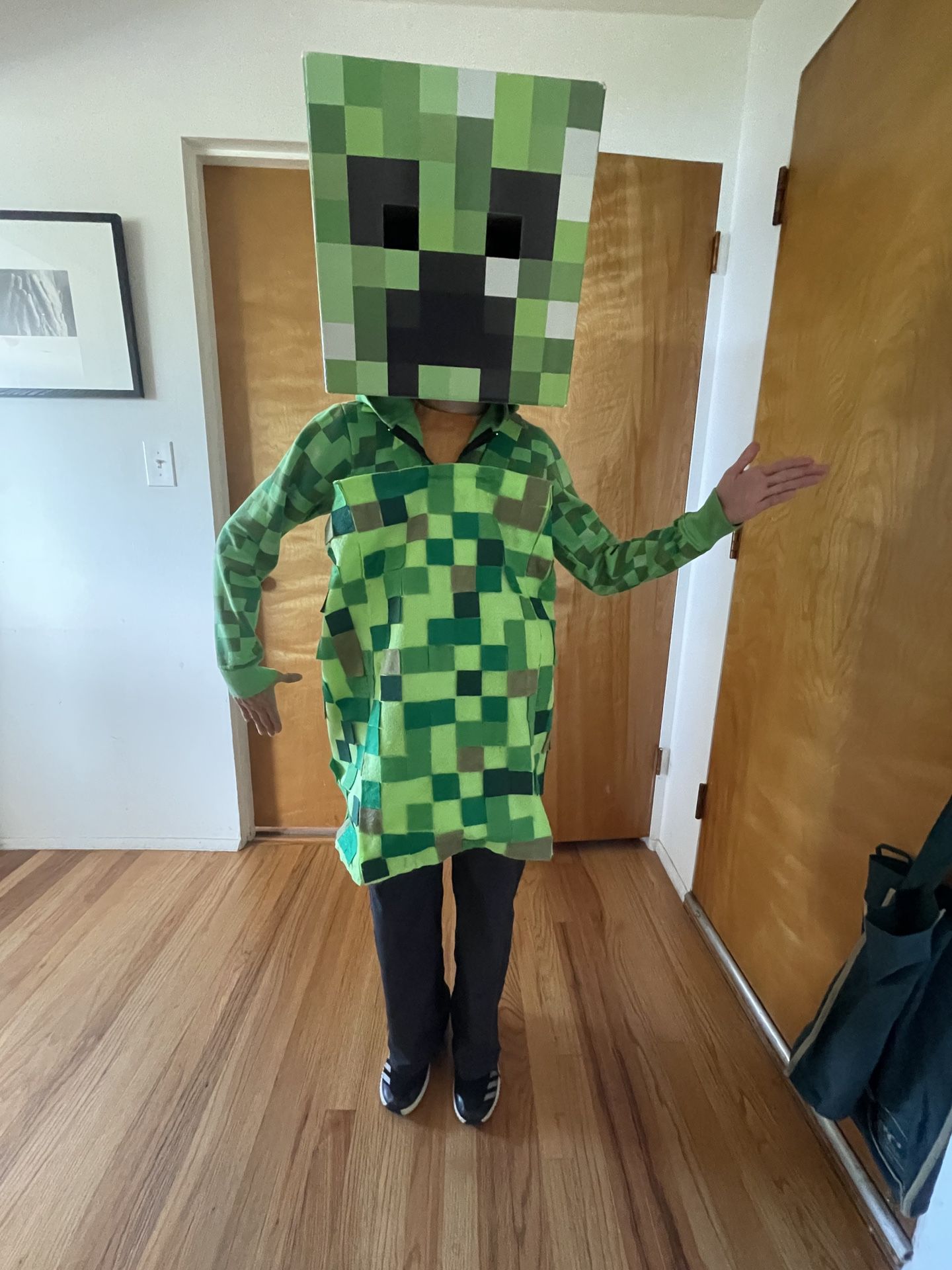Children’s Minecraft Creeper Costume