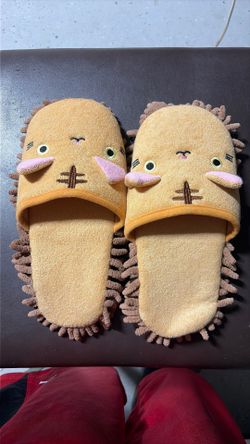 Face house shoes