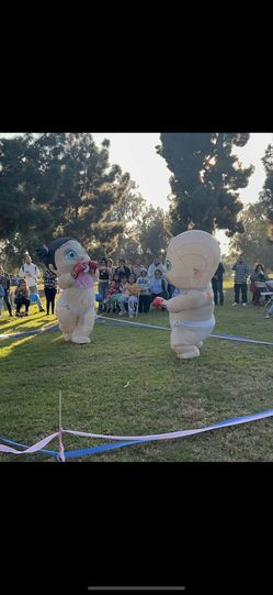 Gender Reveal Baby Shower 