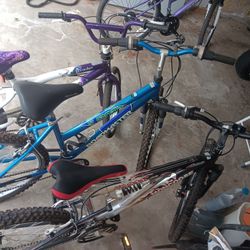 Family Pack 3 Bike