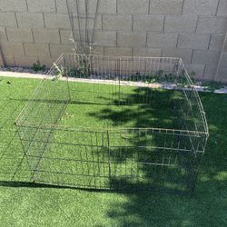 Dog, Exercise, Playpen