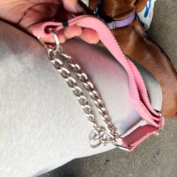 Martingale Pink Training Collar