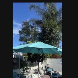 Umbrella 