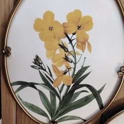 Oval Floral Print- Located In Shelton 