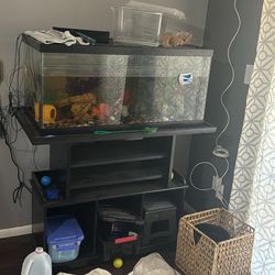 40 Gal Aquarium 