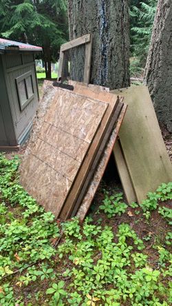Assorted plywood for free