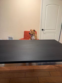 Dinning Table