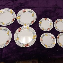 8 PC Plates