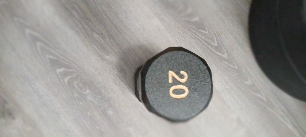 20 Pound Weight