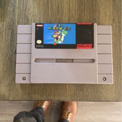 Soup And A Tendo Super Mario World