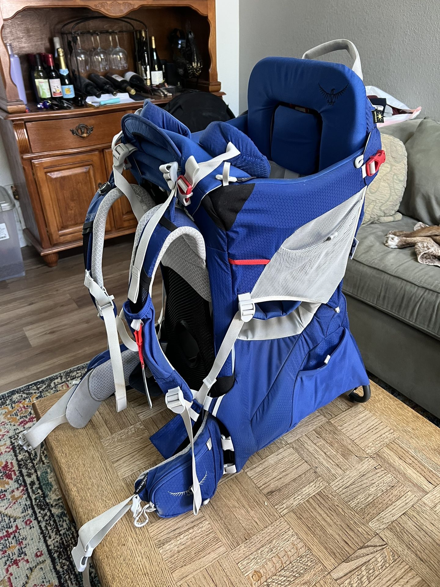Osprey Backpack