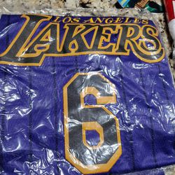NBA basketball Jersey LeBron James LA LAKERS