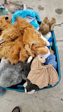 Stuffed animals