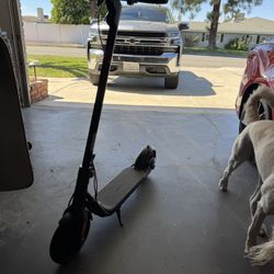 Segway Ninebot Electric Scooter