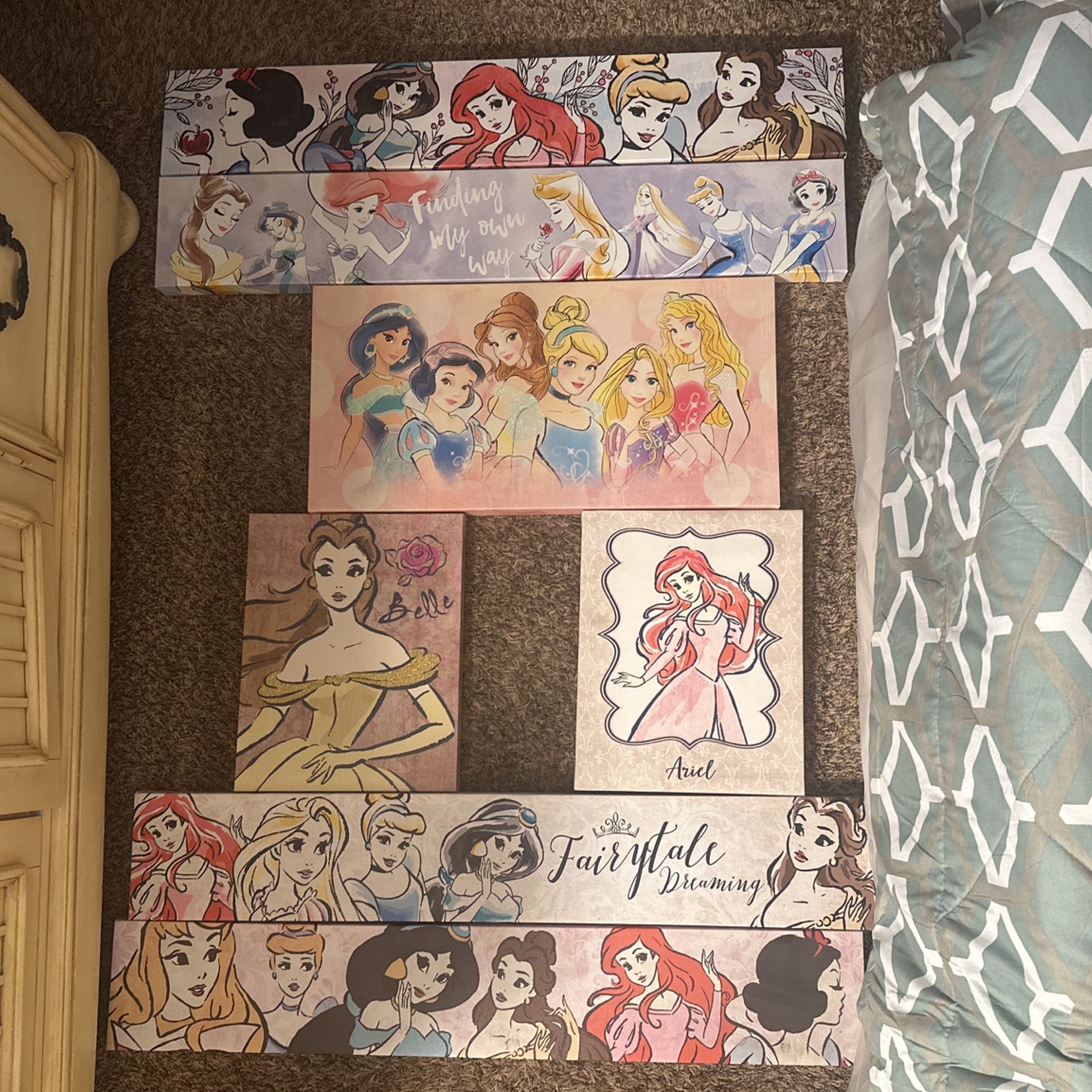 Disney Princess Canvas