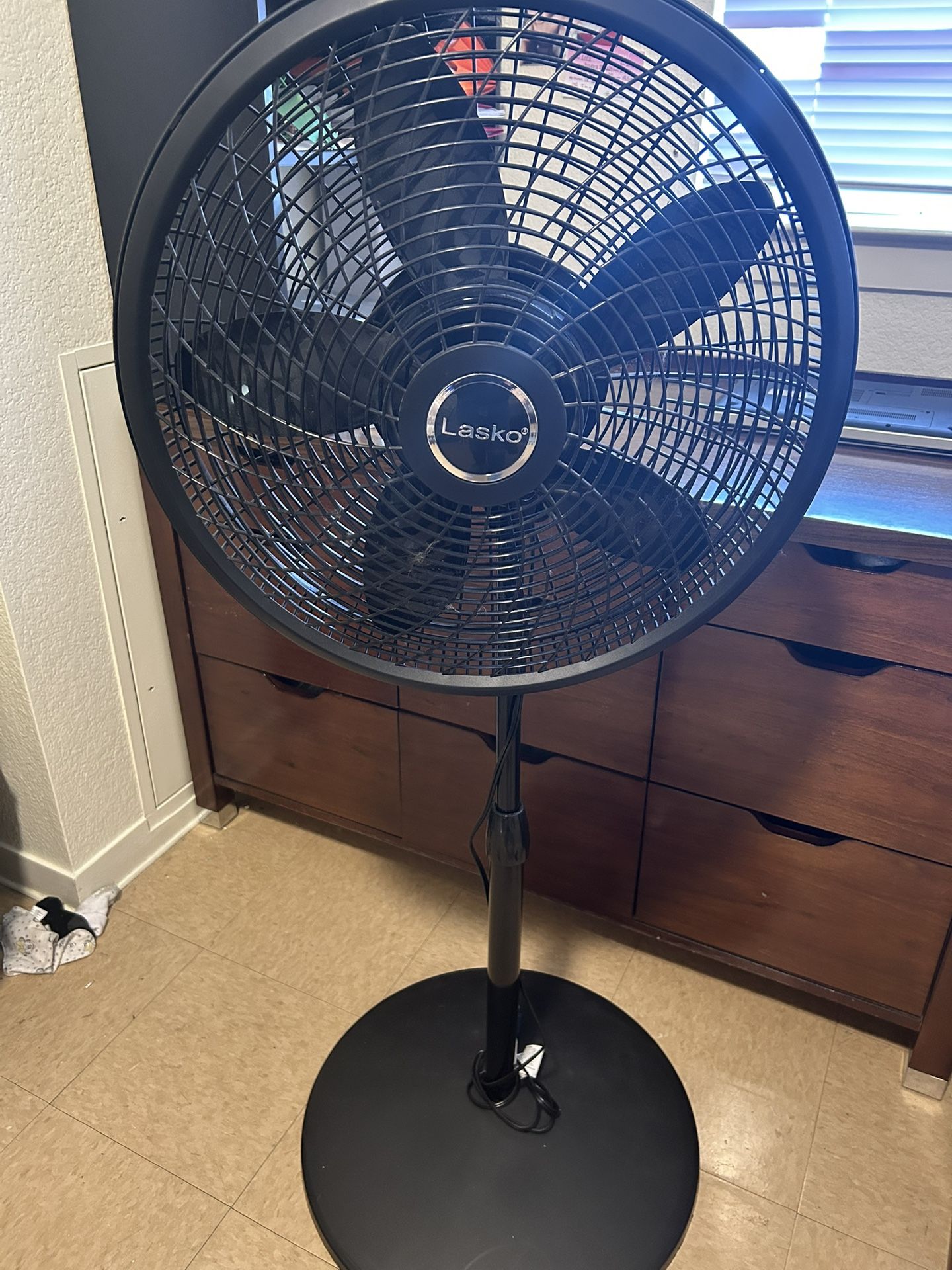 Fan