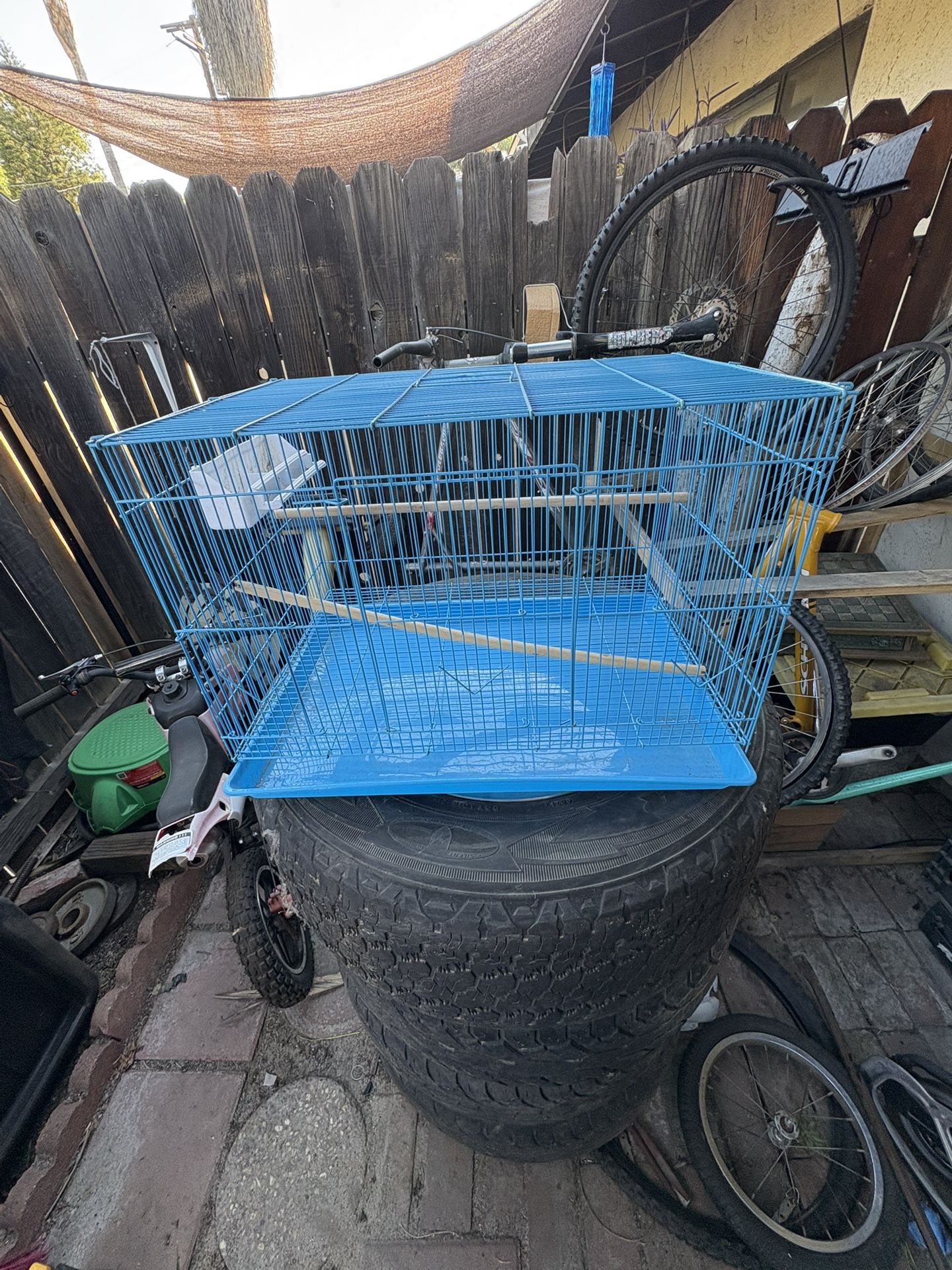 Bird Cage 