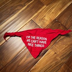 Pet dog I’m the reason we can’t have nice things bandana