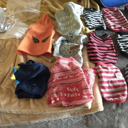  Dog Clothes 