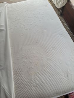 Queen 14 in plush memory foam mattress