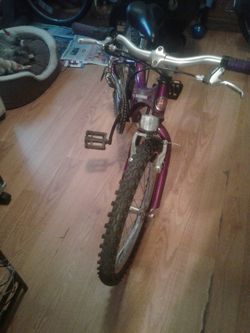 BICICLETA