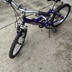 Very Nice Bike Use Like New. 