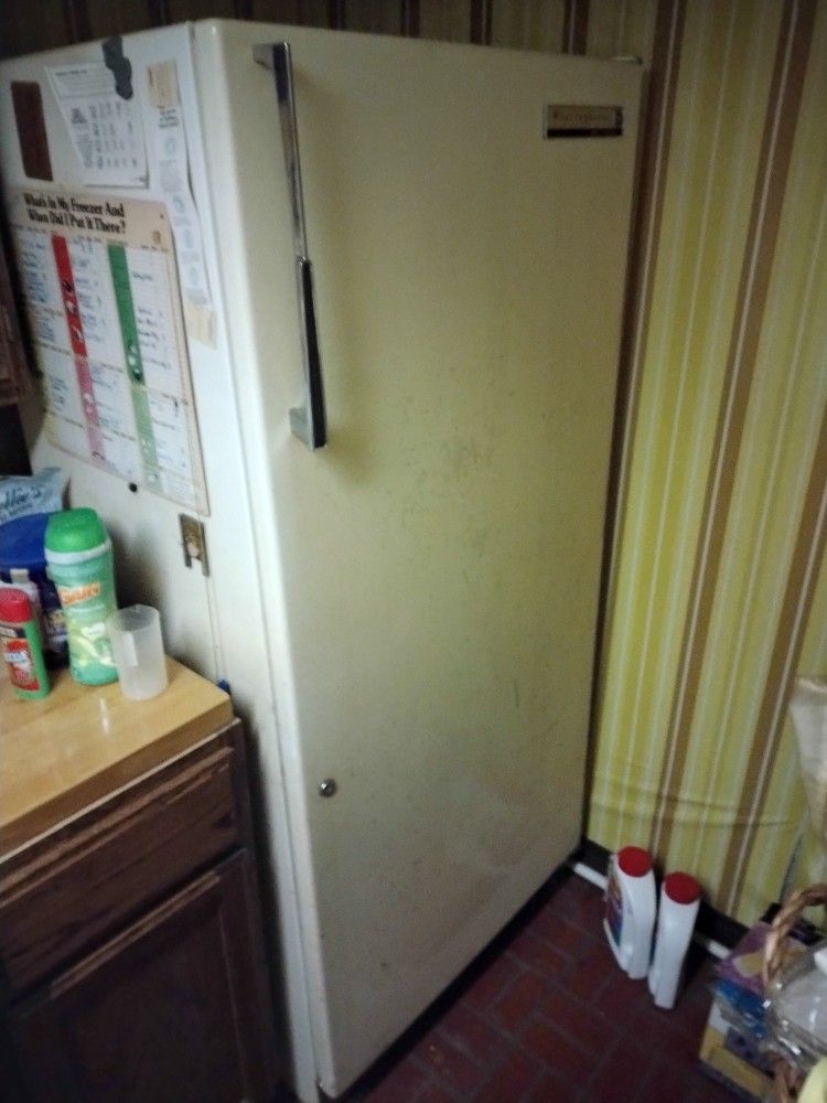 Stand Up Freezer