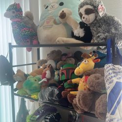 Stuffed Animals 