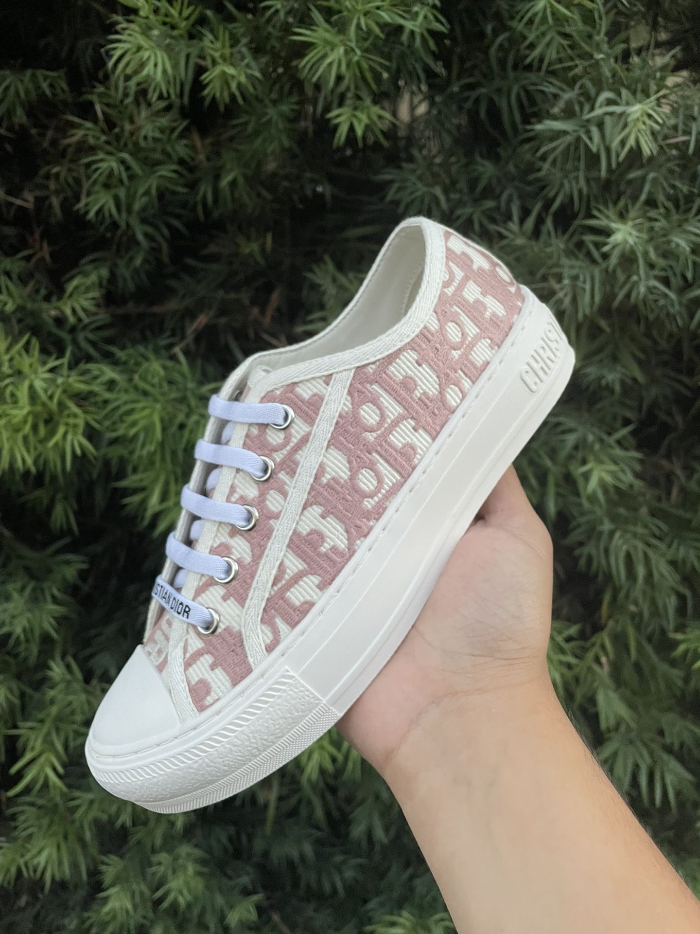 Dior Converse 