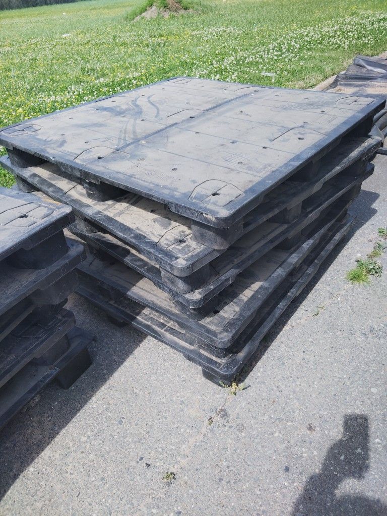 Plastic Pallets