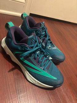 Nike Basketball Sneakers
