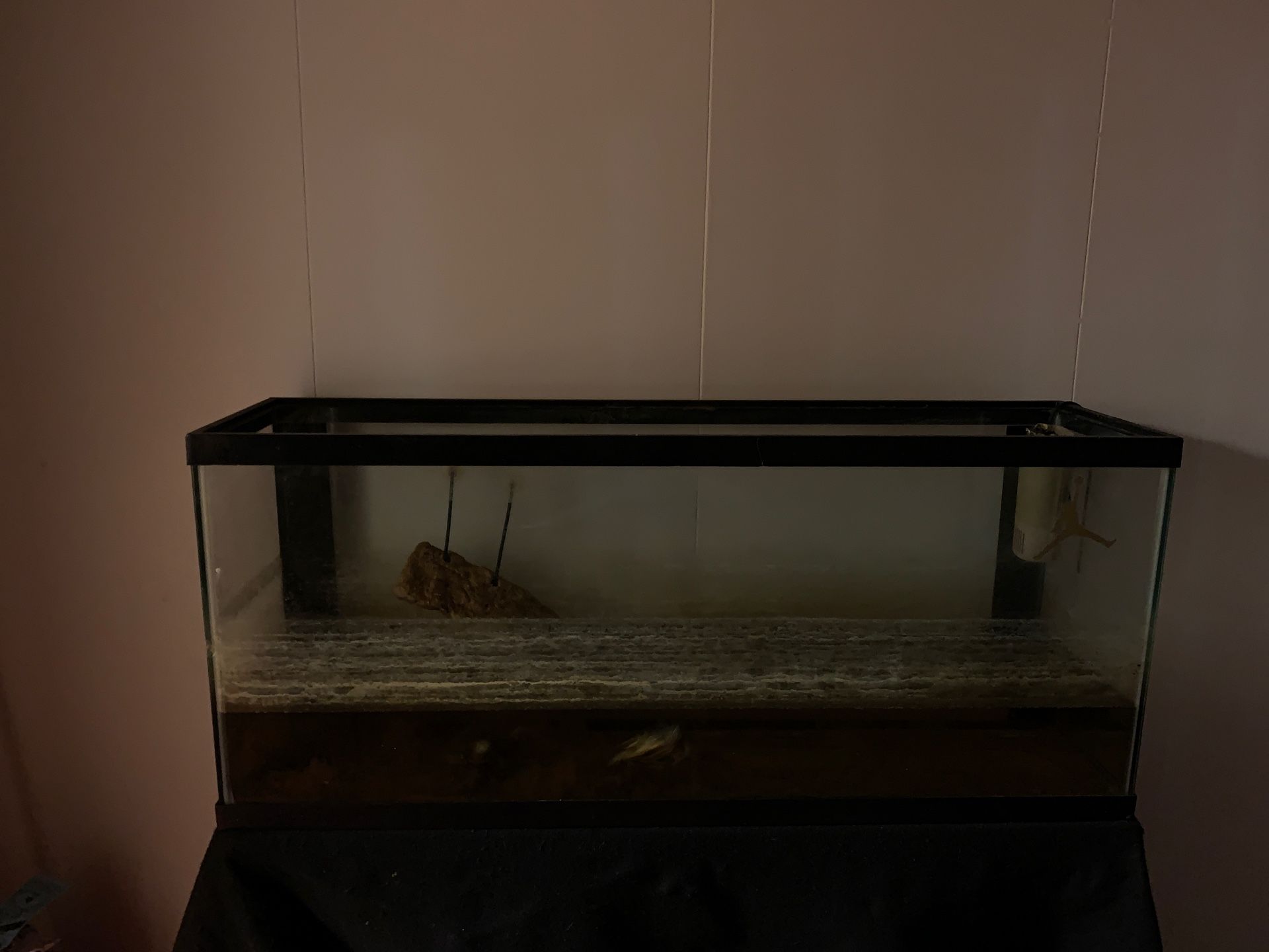 100$FISH TANK!! 100$ fish tank with turtles just take it out yourself and it comes with stand! It’s a little dirty because I gave up on it but it’s