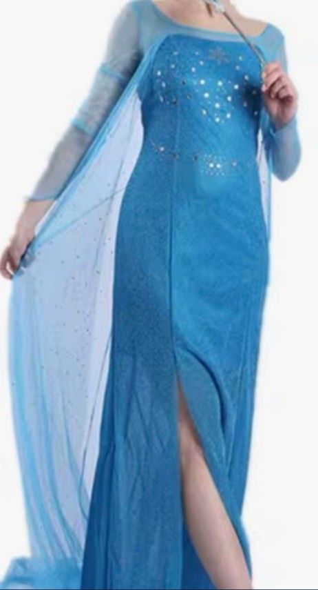 Elsa Frozen Dress Adult Medium
