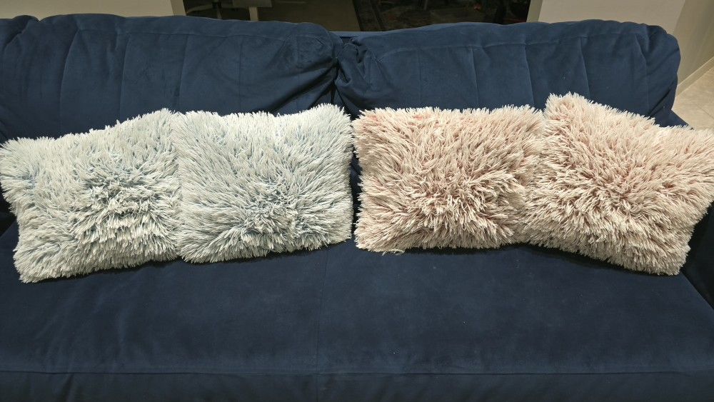 4 Plush Pillows