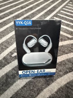 AI Translation Earphones