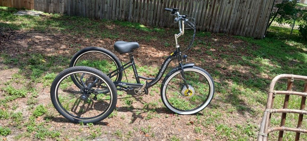 3 Wheel Electric Bike