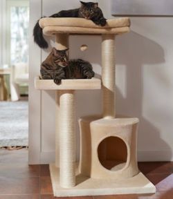 Cat Tower