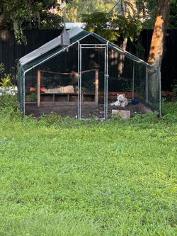 Chicken or dog gate