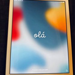 iPad 